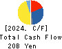 Japan Transcity Corporation Cash Flow Statement 2024年Mar期 Japan Transcity Corporation Cash Flow Statement 2024年3月期