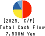 MIRAI INDUSTRY CO.,LTD. Cash Flow Statement 2025年3月期