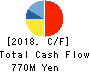 Techfirm Holdings Inc. Cash Flow Statement 2018年6月期