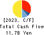 TSUKADA GLOBAL HOLDINGS Inc. Cash Flow Statement 2023年12月期