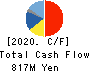 TEIN, INC. Cash Flow Statement 2020年Mar期 TEIN, INC. Cash Flow Statement 2020年3月期