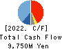 SEIKAGAKU CORPORATION Cash Flow Statement 2022年3月期