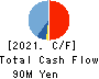 CAPITA Inc. Cash Flow Statement 2021年3月期