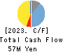 TeamSpirit Inc. Cash Flow Statement 2023年8月期