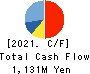 Terilogy Holdings Corporation Cash Flow Statement 2021年3月期