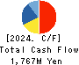 AIAI Group Corporation Cash Flow Statement 2024年Mar期 AIAI Group Corporation Cash Flow Statement 2024年3月期