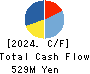 Inbound Tech Inc. Cash Flow Statement 2024年3月期
