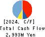 Startia Holdings,Inc. Cash Flow Statement 2024年3月期