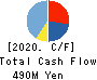 AMIYA Corporation Cash Flow Statement 2020年12月期