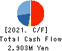 Shinwa Co.,Ltd. Cash Flow Statement 2021年3月期