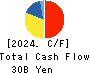 TOKAI Holdings Corporation Cash Flow Statement 2024年3月期