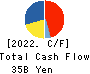 KOBAYASHI PHARMACEUTICAL CO.,LTD. Cash Flow Statement 2022年12月期