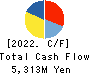 Software Service,Inc. Cash Flow Statement 2022年10月期