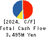 AB&Company Co.,Ltd. Cash Flow Statement 2024年10月期
