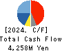 SEMITEC Corporation Cash Flow Statement 2024年Mar期 SEMITEC Corporation Cash Flow Statement 2024年3月期