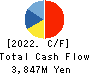 ZIGExN Co.,Ltd. Cash Flow Statement 2022年3月期