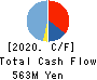 FCE Inc. Cash Flow Statement 2020年9月期