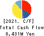 DAIICHI KIGENSO KAGAKU KOGYO CO.,LTD. Cash Flow Statement 2021年3月期