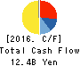 TSUKADA GLOBAL HOLDINGS Inc. Cash Flow Statement 2016年12月期