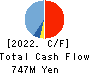 WDB coco CO.,LTD. Cash Flow Statement 2022年Mar期 WDB coco CO.,LTD. Cash Flow Statement 2022年3月期
