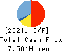 TAISEI ONCHO CO.,LTD. Cash Flow Statement 2021年3月期