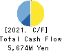 DAIDOH LIMITED Cash Flow Statement 2021年Mar期 DAIDOH LIMITED Cash Flow Statement 2021年3月期