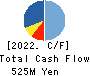 AMIYA Corporation Cash Flow Statement 2022年12月期