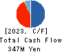 AppBank Inc. Cash Flow Statement 2023年12月期