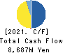 TANAKA CHEMICAL CORPORATION Cash Flow Statement 2021年3月期