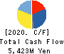 SK-Electronics CO.,LTD. Cash Flow Statement 2020年9月期