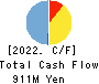 Netyear Group Corporation Cash Flow Statement 2022年3月期