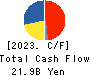 Dexerials Corporation Cash Flow Statement 2023年3月期