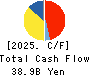Nippon Shinyaku Co.,Ltd. Cash Flow Statement 2025年Mar期 Nippon Shinyaku Co.,Ltd. Cash Flow Statement 2025年3月期