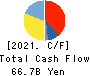 TAIYO YUDEN CO., LTD. Cash Flow Statement 2021年3月期