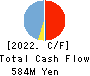 Writeup Co.,Ltd. Cash Flow Statement 2022年Mar期 Writeup Co.,Ltd. Cash Flow Statement 2022年3月期