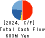 AVIX, Inc. Cash Flow Statement 2024年Mar期 AVIX, Inc. Cash Flow Statement 2024年3月期
