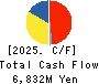 FTGroup CO.,LTD. Cash Flow Statement 2025年3月期