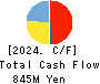 Livero Inc. Cash Flow Statement 2024年Dec期 Livero Inc. Cash Flow Statement 2024年12月期