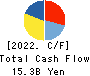 RICOH LEASING COMPANY,LTD. Cash Flow Statement 2022年3月期