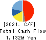 TEIN, INC. Cash Flow Statement 2021年Mar期 TEIN, INC. Cash Flow Statement 2021年3月期
