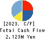 Hakuten Corporation Cash Flow Statement 2023年12月期