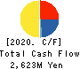 Yamami Company Cash Flow Statement 2020年6月期