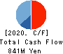 Temairazu, Inc. Cash Flow Statement 2020年6月期