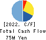 Softfront Holdings Cash Flow Statement 2022年3月期