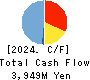 Helios Techno Holding Co.,Ltd. Cash Flow Statement 2024年3月期