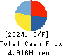 MIDAC HOLDINGS CO., LTD. Cash Flow Statement 2024年Mar期 MIDAC HOLDINGS CO., LTD. Cash Flow Statement 2024年3月期