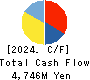 Daiseki Eco. Solution Co.,Ltd. Cash Flow Statement 2024年2月期