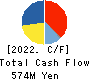 YRGLM Inc. Cash Flow Statement 2022年Sep期 YRGLM Inc. Cash Flow Statement 2022年9月期
