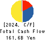 IWATANI CORPORATION Cash Flow Statement 2024年3月期