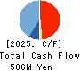 CAPITA Inc. Cash Flow Statement 2025年Mar期 CAPITA Inc. Cash Flow Statement 2025年3月期